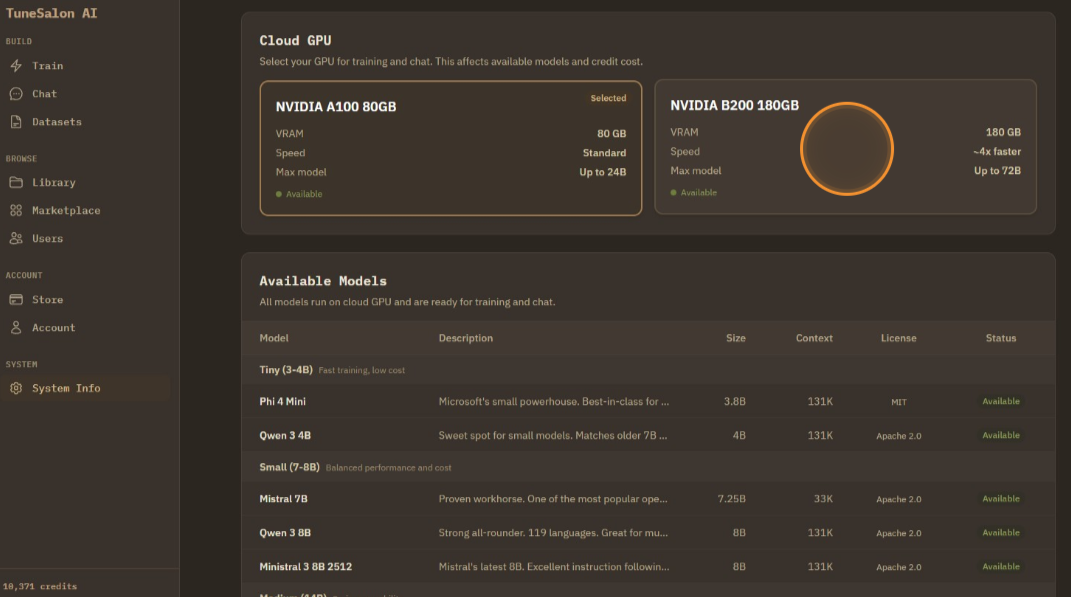 You can switch between GPU tiers depending on the model size you need.